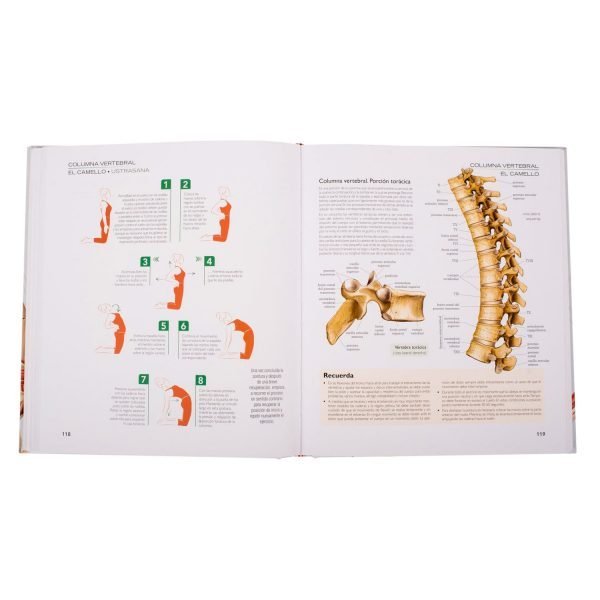 Atlas Ilustrado Yoga: Anatomía y Posturas - Imagen 4