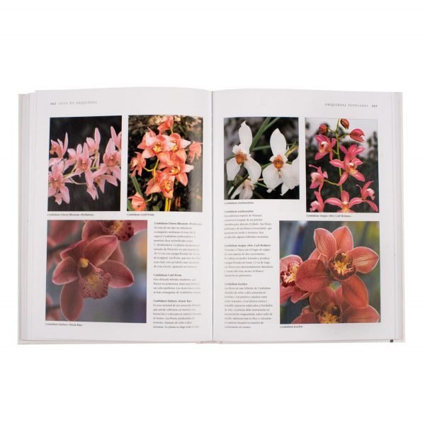 Orquídeas Enciclopedia Práctica - Imagen 4