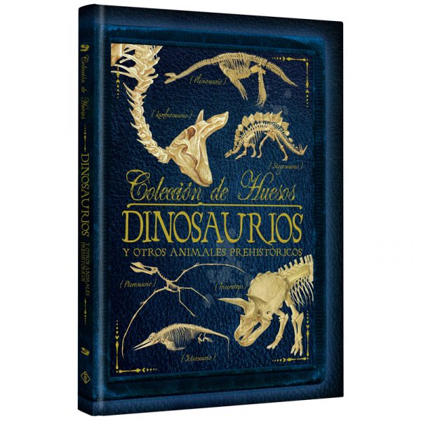 Colección de Huesos de Dinosaurios