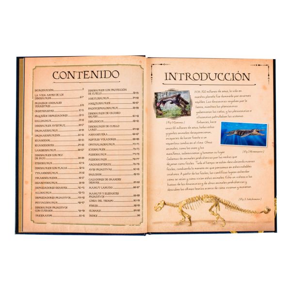 Colección de Huesos de Dinosaurios - Imagen 4