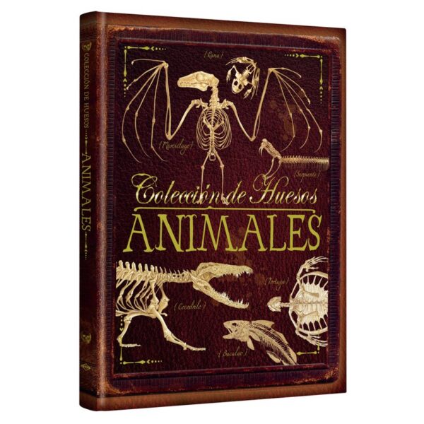 Libro Colección de Huesos de Animales