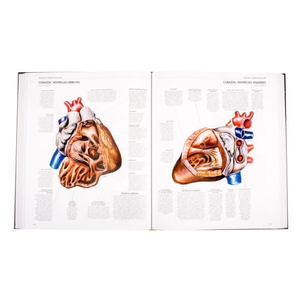 Atlas del Cuerpo Humano - Imagen 4