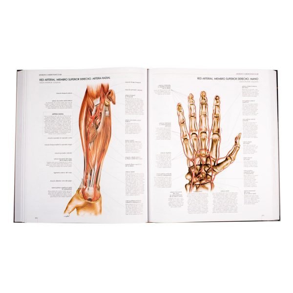 Atlas del Cuerpo Humano - Imagen 2