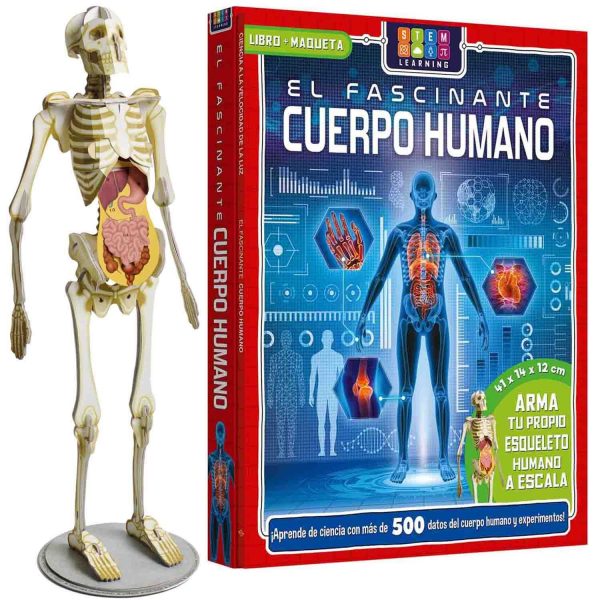 El Fascinante Cuerpo Humano