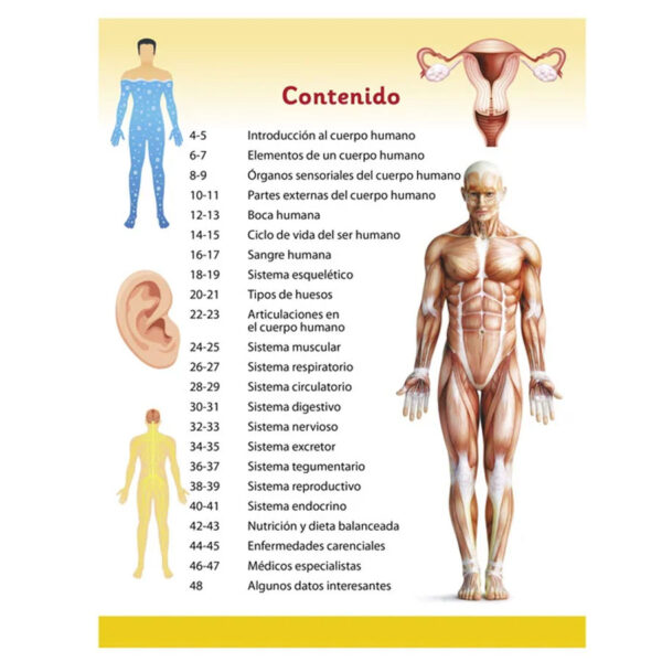 Enciclopedia Ilustrada Cuerpo Humano - Imagen 4